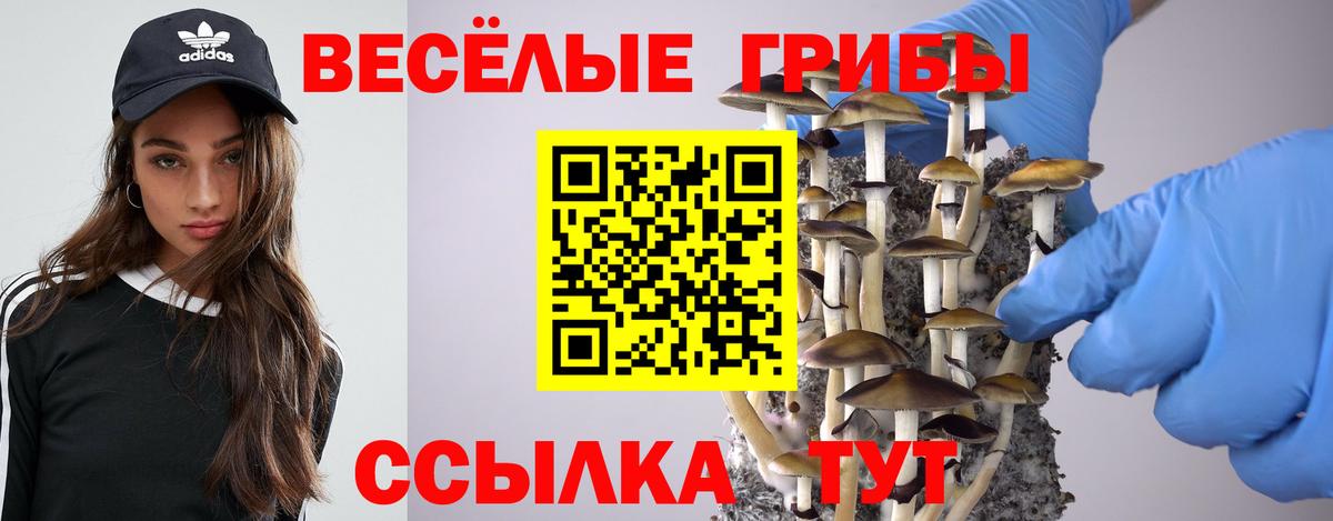 Псилоцибиновые грибы MAGIC MUSHROOMS  Вход с VPN  Гай 