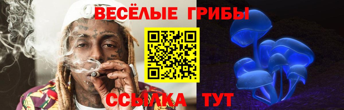 Псилоцибиновые грибы ЛСД Гай
